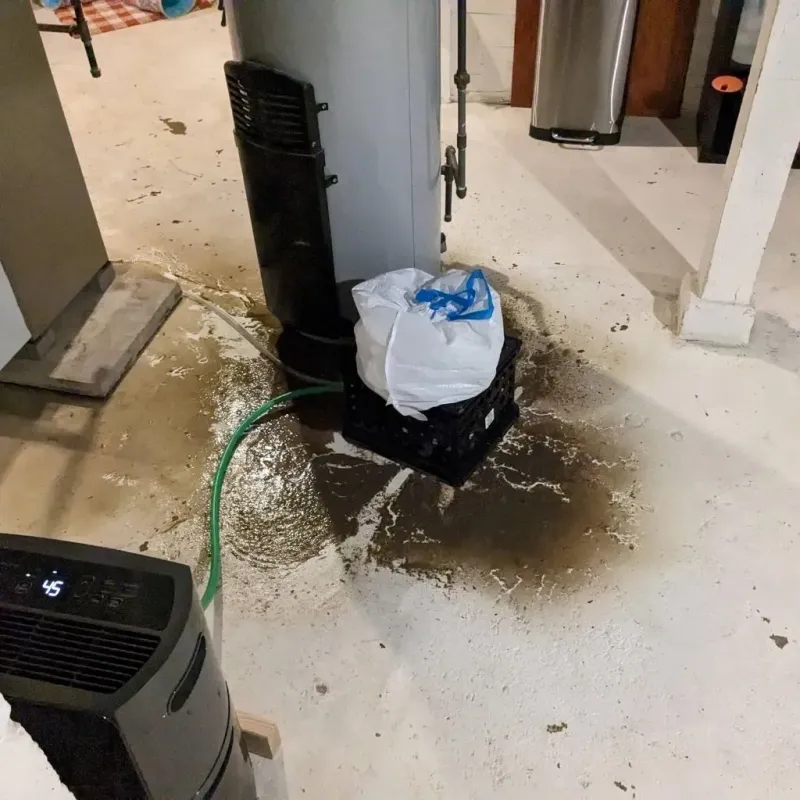 Sewage Backup Cleanup Service in Plainfield, NJ